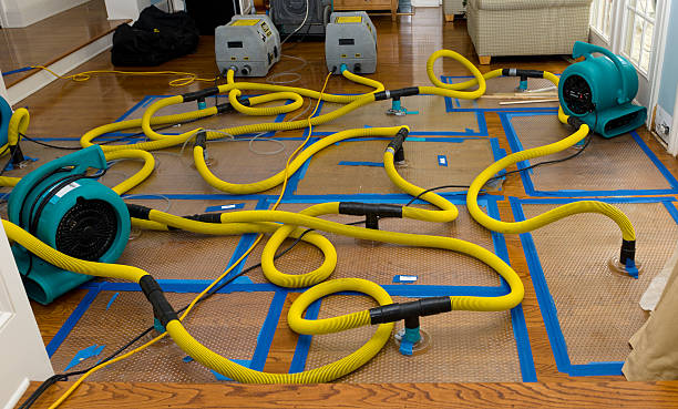 Professional Crawl Space Water Removal technician working in Trent, SD